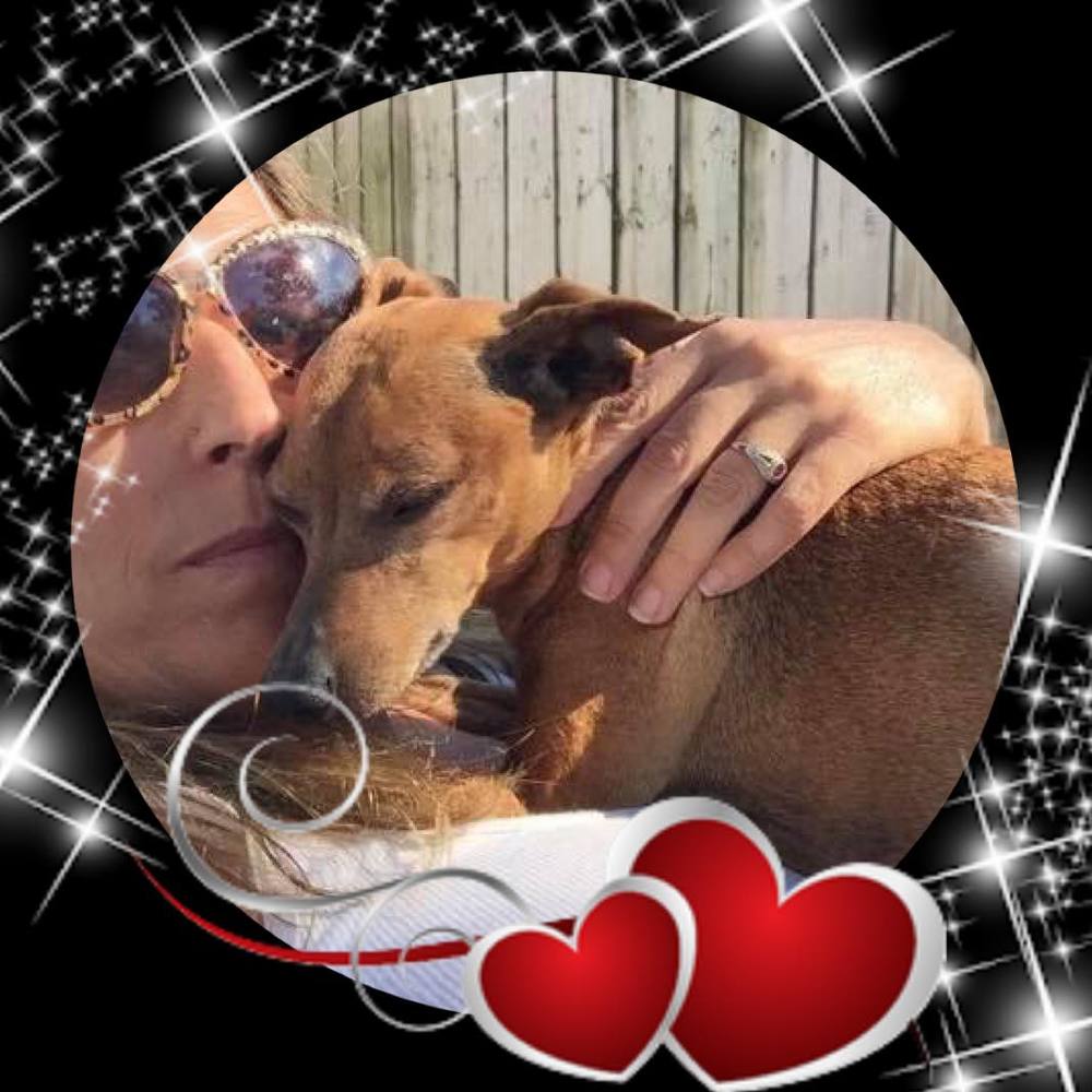 Meet your Posher, Celeste